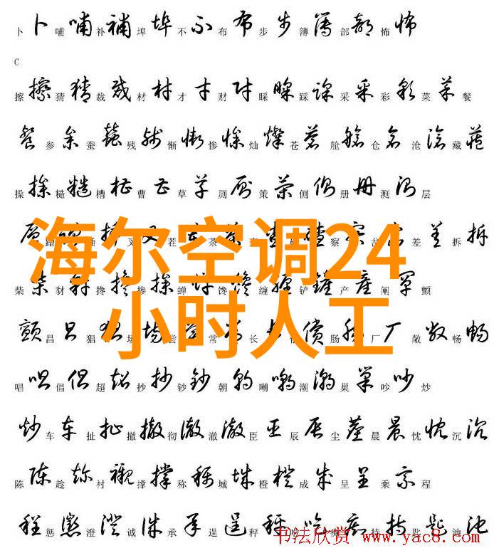 海尔2022最新款大容量家庭用冰箱完美提升厨房空间与效率的智慧选择