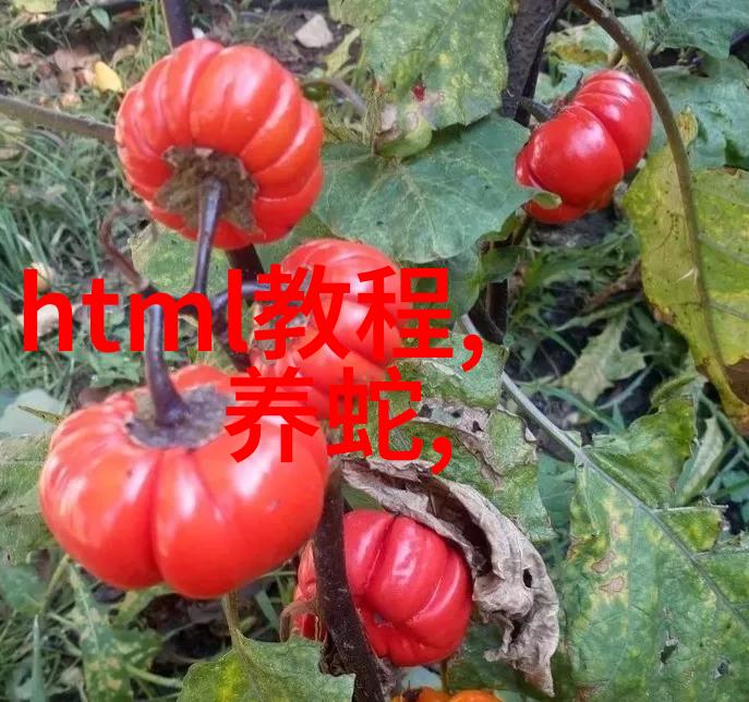 金属丝网填料的选择与应用不锈钢材料的优势解析
