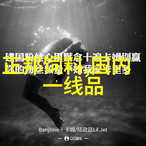 海尔2022新上市冰箱智能环保与时尚的完美结合