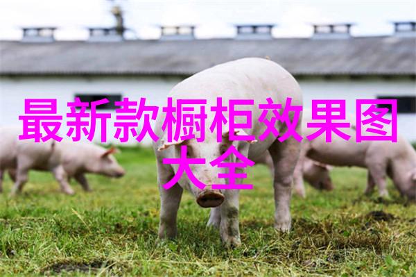 小鸭圣吉奥游戏中的可爱伙伴与强大力量的融合