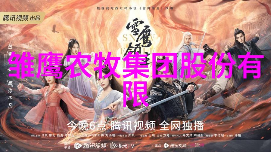 资金筹措策略与项目实施效益评估