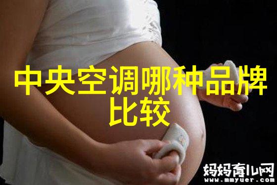 白色天鹅的洗衣秘密小天鹅洗衣机的故事