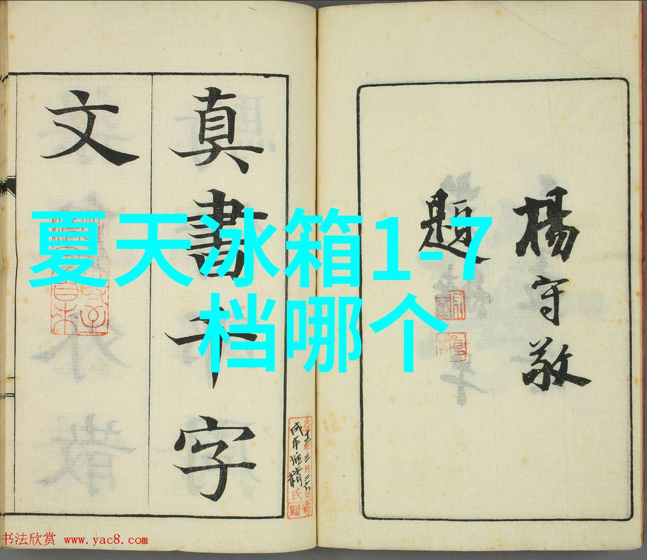 中国体育生GARY的飞机XXNN探索