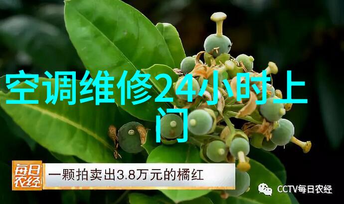 维护成本效益最大化最佳时间表来替换或更新您的纯净水系统