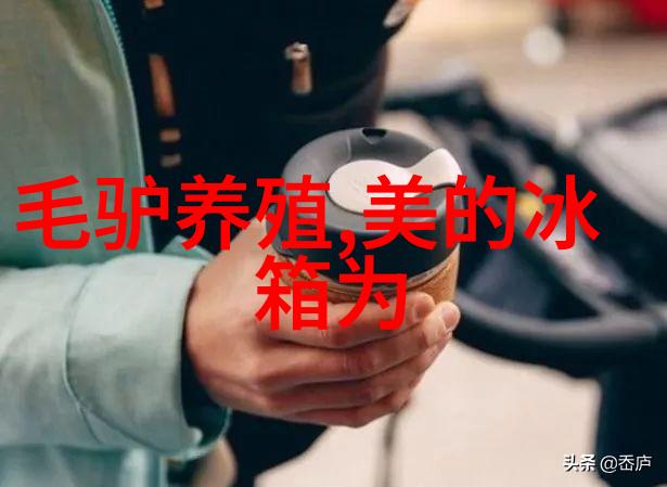 功能与美观并存高效厨卫一体化案例分享