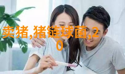 智能投币洗衣机节约成本环保便捷的生活选择