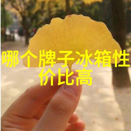 智能冰箱温控指南掌握海尔冰箱温度调节的艺术