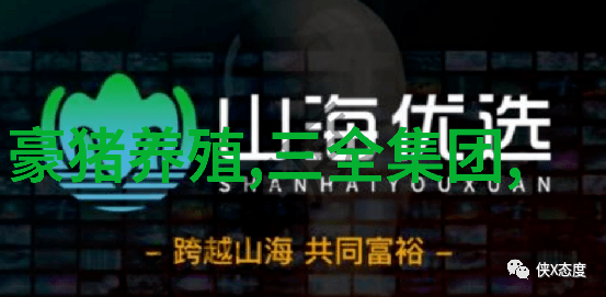 离心压缩机我的工作伙伴如何高效运行它