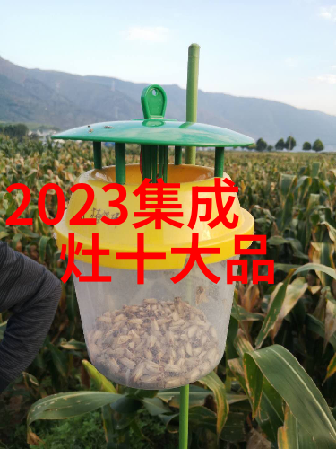 小鸭的欢乐之旅蹲在妈妈的翅膀下探索大海的秘密