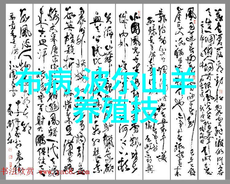 三星大容量滚筒狂降8000 火爆热销