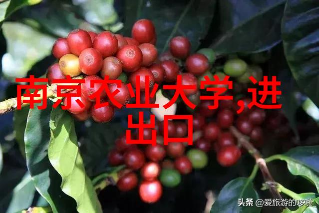 无缝连接知识海洋  了解并应用个人的免费专利查询功能