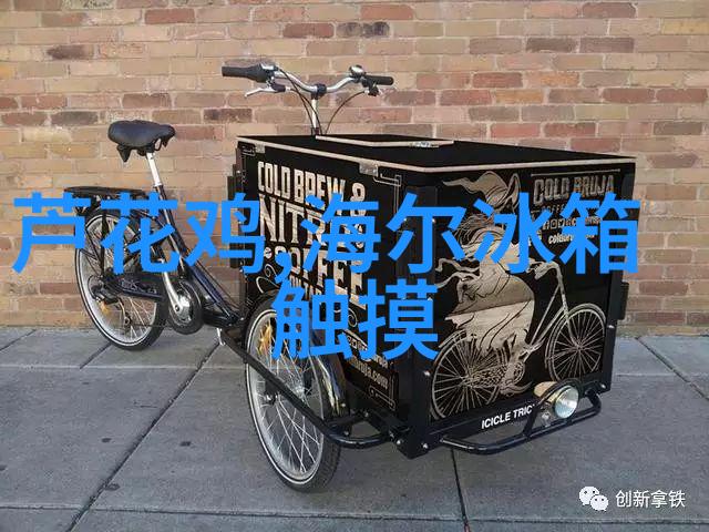 C30技术在现代电子产品中的应用与发展