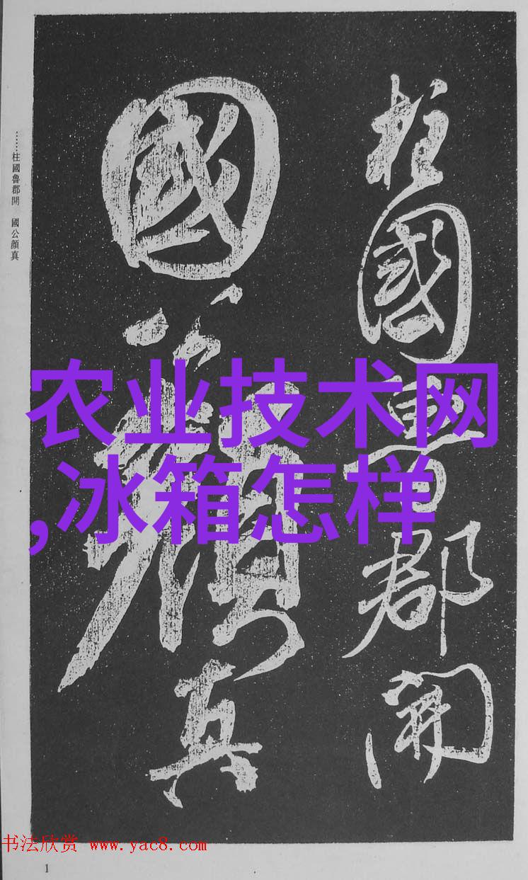 陈译辉财经新篇章洞察市场脉搏共筑金融未来