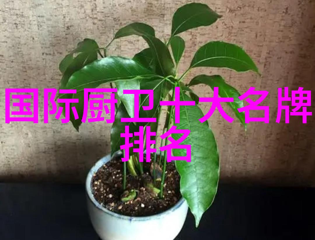 冰箱冷藏室结冰原因探究冰箱维修保养的常见问题