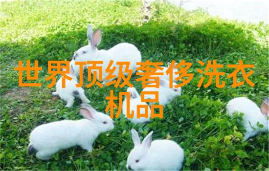 空调问题-启动而无风揭秘空调运行中的奇异故障