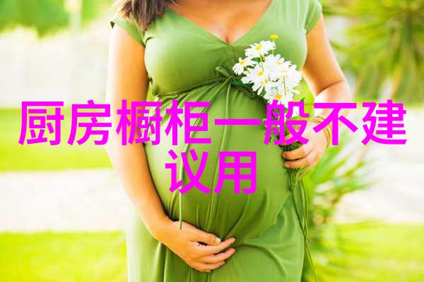 夏普洗衣机背后的智慧它如何用科技革新我们的洗护习惯
