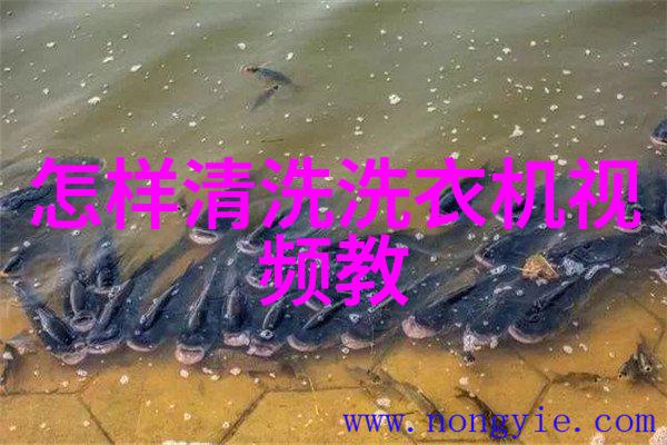 轻质建造新潮流发泡水泥板的创新应用与未来展望