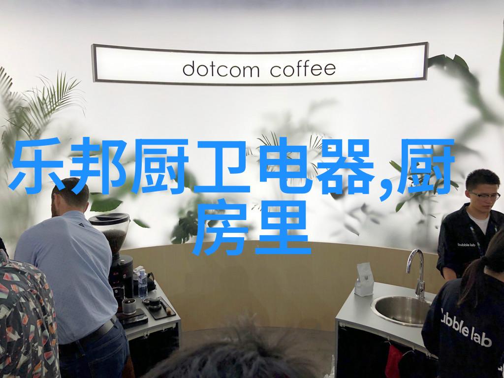 微妙的艺术揭秘芯片之谜