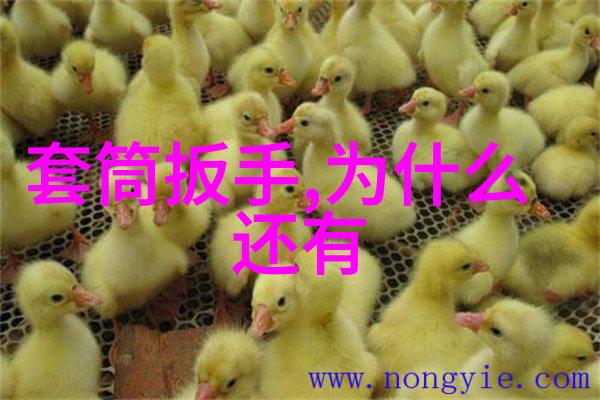 一步步教你如何调整海尔冰箱的温度图解教学