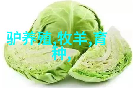附近不锈钢加工服务专业的金属成型与切割解决方案