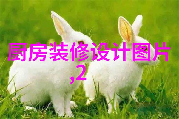 反应釜中温度计长度的精确选择确保实验安全与准确性