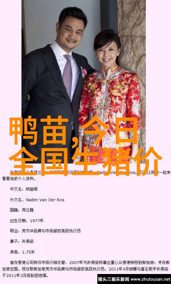 倾世皇妃朝宫之巅的宠儿历史穿越宫廷斗争爱情纠葛