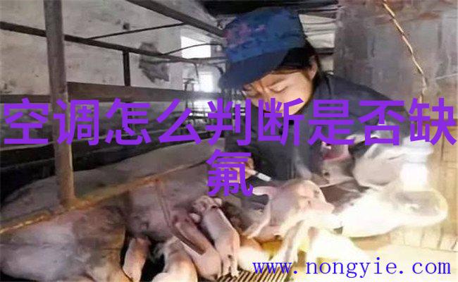 管家先生集成灶售后服务热线随时解答您的疑惑与需求