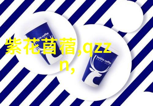 第一财经深度分析金融市场趋势与投资策略