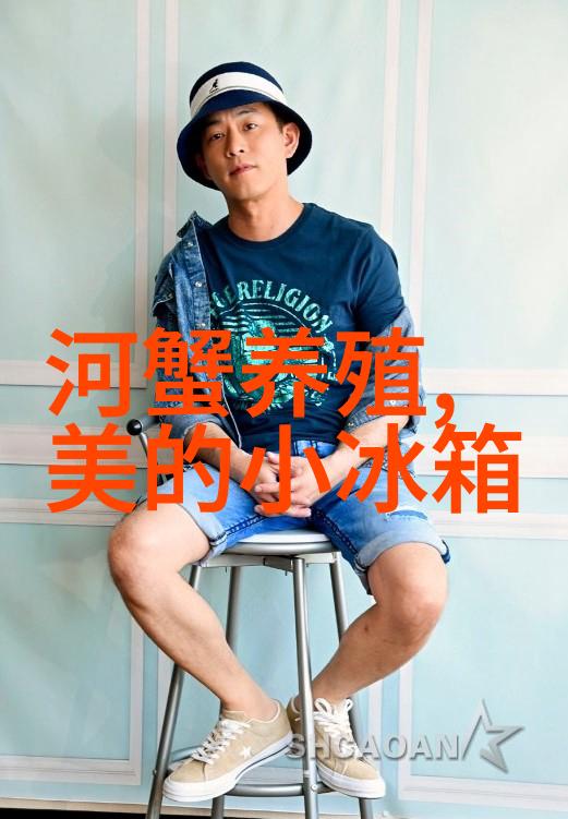 应用领域扩展从传统到创新片剂机械的多样化应用场景分析
