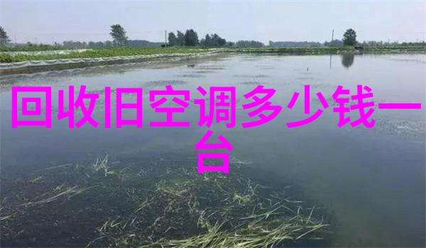 常用6种灭菌方法有哪些我来告诉你让我们一起探索这些有效的消毒技巧