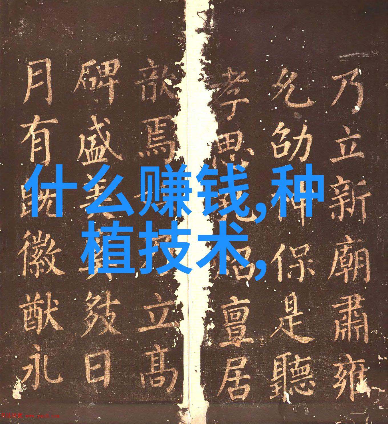 干洗店的秘密武器如何让衣物焕发新色泽