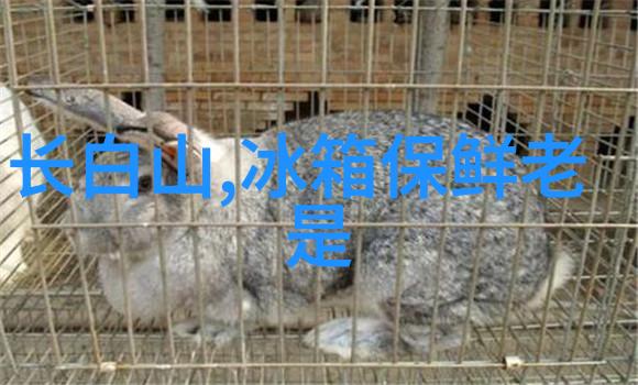 为什么选择成为一名专业的水利水电工程师