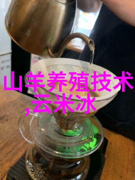 义乌2023年展会繁华与简约的交响篇章