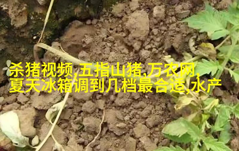 自动门把手处置箱