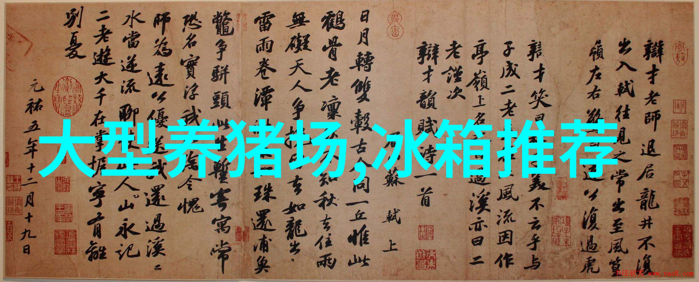 如何选择合适的地漏尺寸以应对不同区域的流量需求