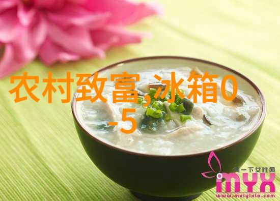 芯片集成电路芯片