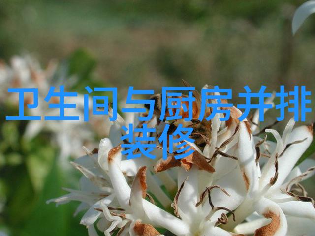 冰箱十年的老朋友维修还是更换
