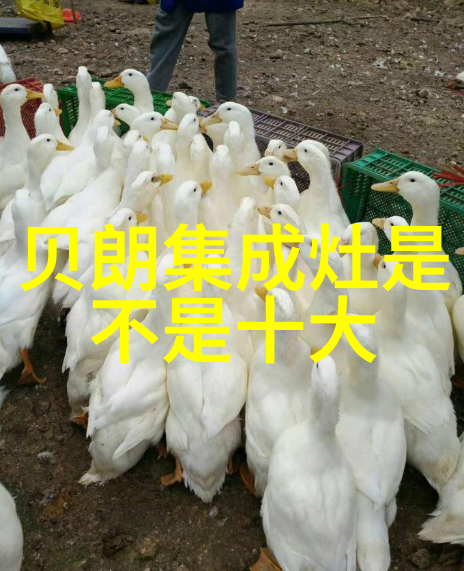 家用革命小天鹅半自动洗衣机让清洁更简单