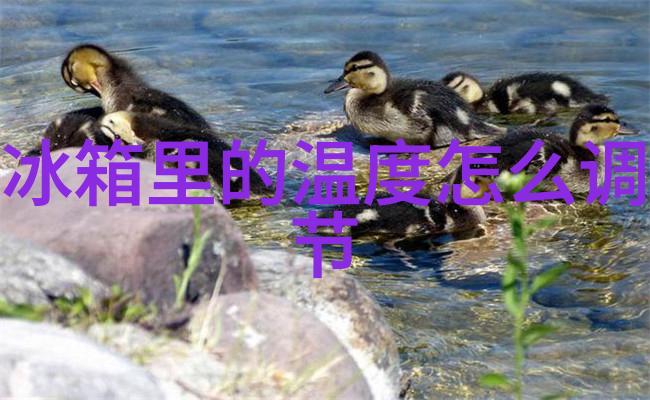 空调热风开启至极限冬日御寒秘籍