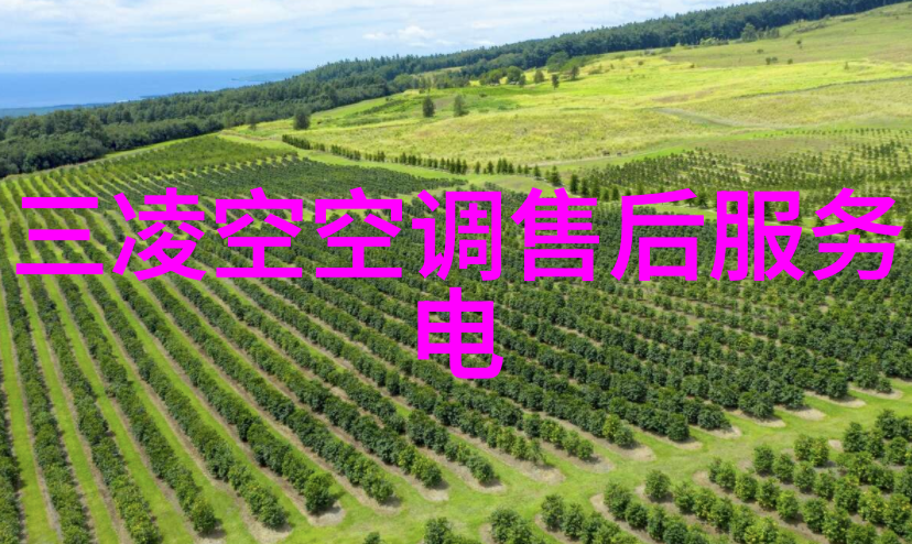如何进行阀门的维护和保养以延长其使用寿命