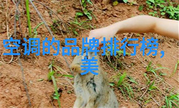 如何在夏季冬季对比地合理调整海尔双开门冰箱的工作温度