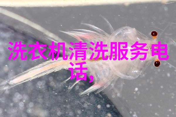 守护心底的秘密你有权保持暗恋