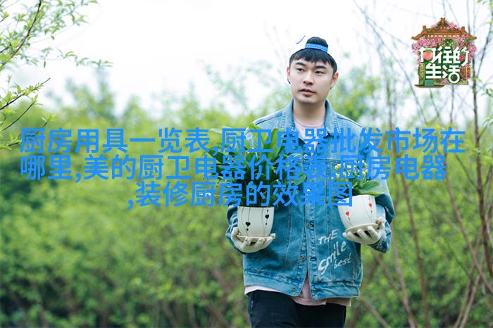 木质回归