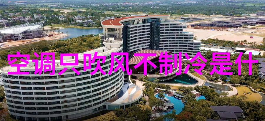 后来偏偏喜欢你青春校园爱情故事