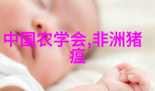 物流奇遇德邦的逆袭之旅