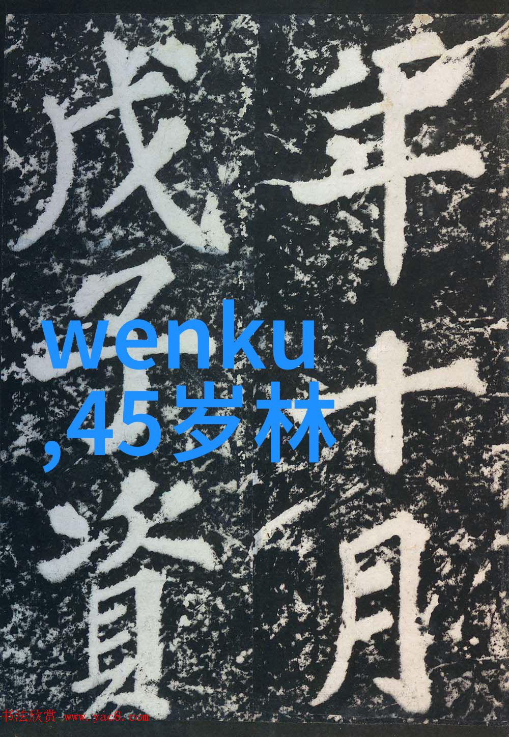色老妈导航古装时尚穿搭指南