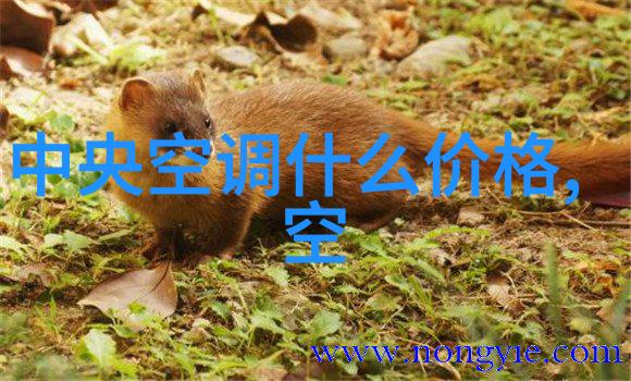 房子装修效果图片大全 真实我眼中的完美居家真实装修效果图全览