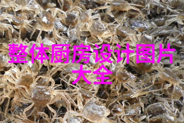 海信智能交通系统海信智能交通管理技术