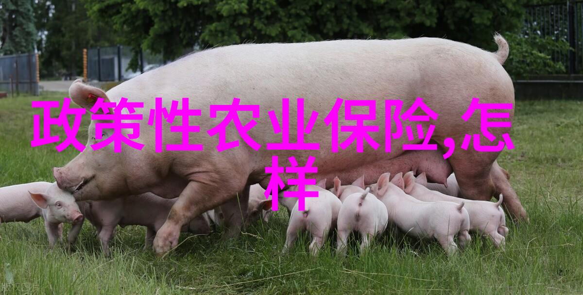 夏日暖阳下的调情之旅心灵的转换与生活的升华