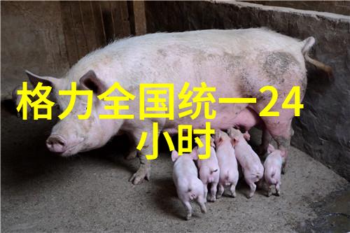 诡域档案揭秘那些被遗忘的阴森边界